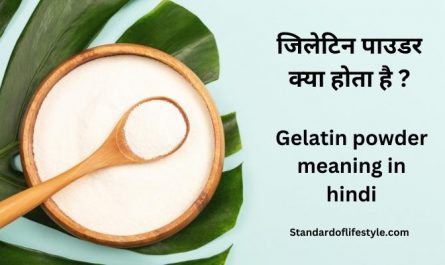 Gelatin powder meaning in hindi